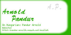arnold pandur business card